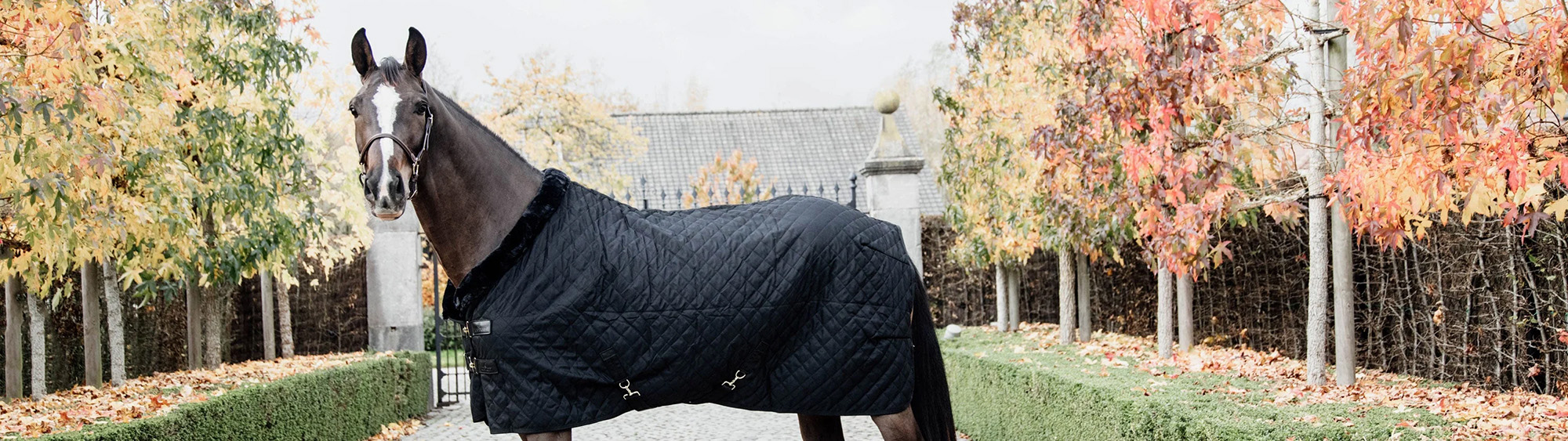 Equestrian Supplies Store -Equestrian Supplies Store 1