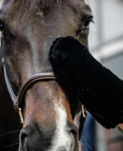 Grooming Deluxe Sheepskin Grooming Glove 11 Grooming Deluxe Sheepskin Grooming Glove -Equestrian Supplies Store 10344