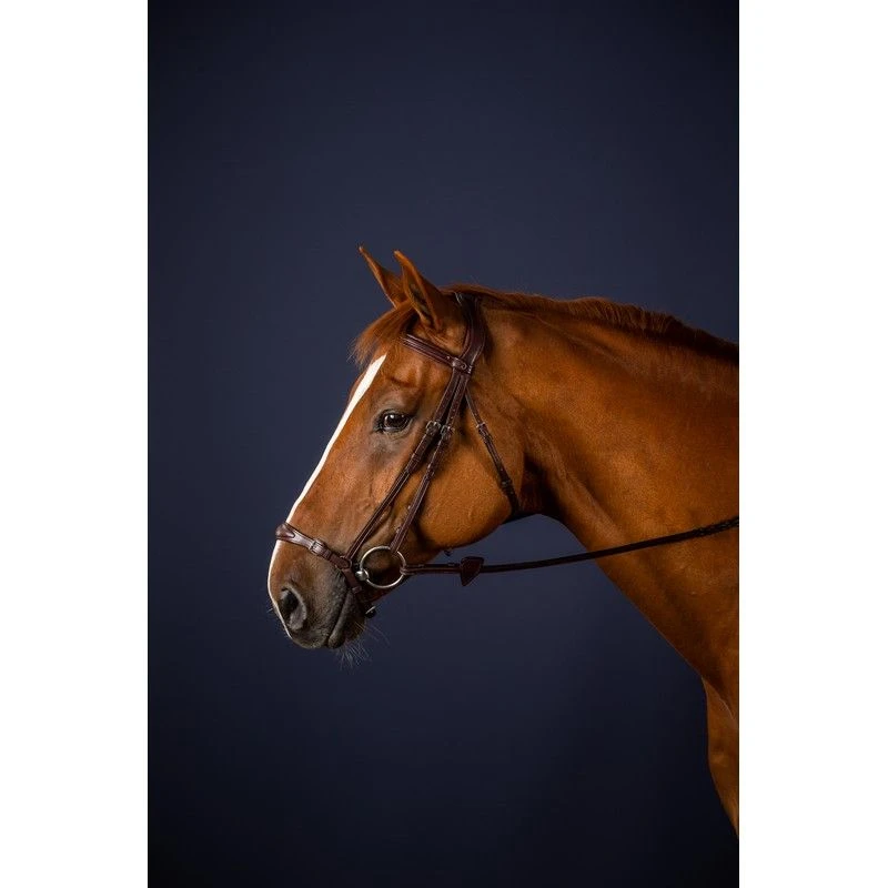 Dyon New English Collection Drop Noseband Bridle Brown 2 Dyon New English Collection Drop Noseband Bridle Brown - Image 2