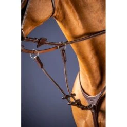 Equestrian Supplies Store -Equestrian Supplies Store 10709