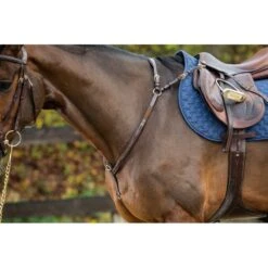 Dyon D Collection Breastplate With Bridge Brown