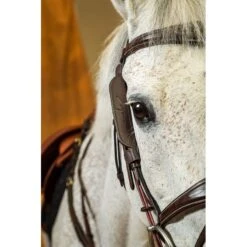 Dyon Focus Cheek Pieces Blinkers Small Brown