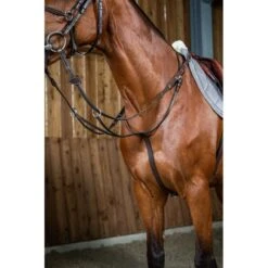 Dyon Working Collection Martingale Brown