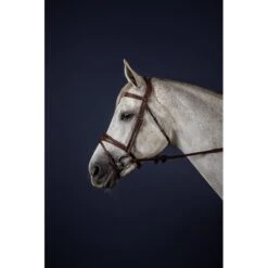 Dyon New English Collection Anatomic Flash Noseband Bridle Brown