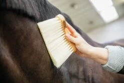 Grooming Deluxe Middle Brush Long Natural -Equestrian Supplies Store 11388