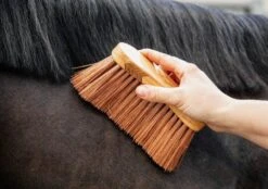 Grooming Deluxe Middle Brush Medium -Equestrian Supplies Store 11398