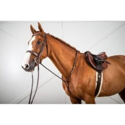 Equestrian Supplies Store -Equestrian Supplies Store 11479