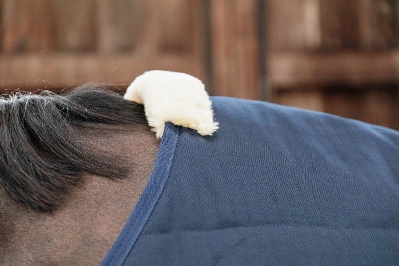 Kentucky Horsewear Stable Rug Classic 200g 3 Kentucky Horsewear Stable Rug Classic 200g - Image 3