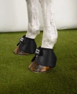 Equestrian Supplies Store 29 Equestrian Supplies Store -Equestrian Supplies Store 12140