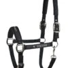 Equiline Halter Timmy Black