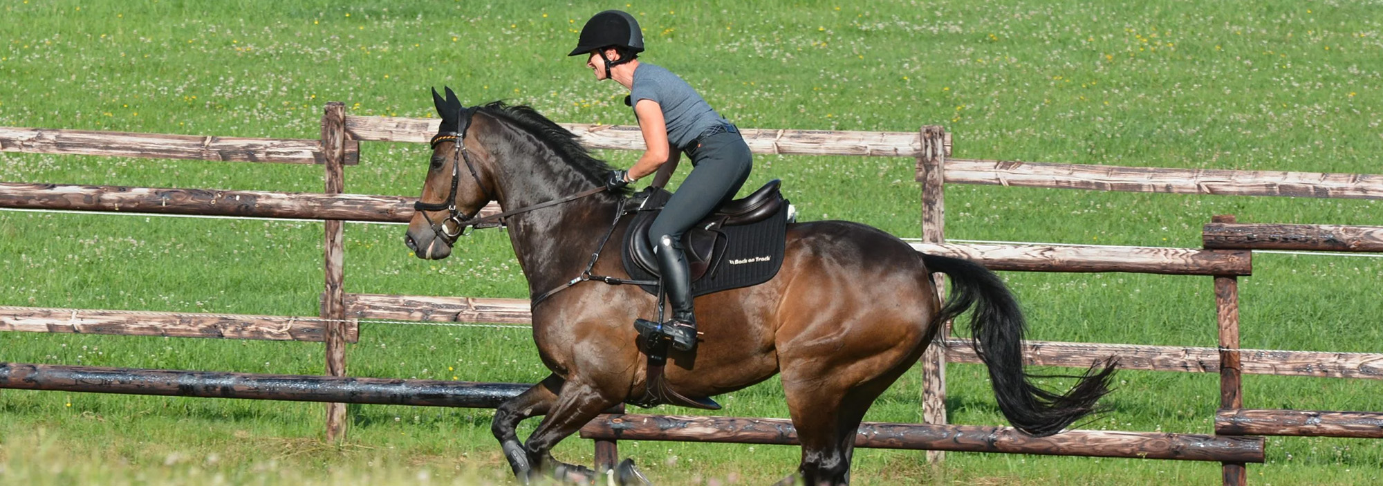 Equestrian Supplies Store -Equestrian Supplies Store 2