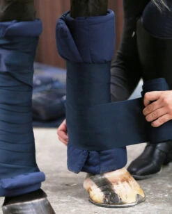 Equestrian Supplies Store -Equestrian Supplies Store 2433