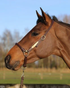 Kentucky Horsewear Leather Grooming Halter