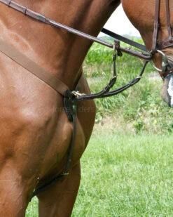 LJ Leathers New Pro Breastplate With Elastic