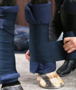 Equestrian Supplies Store -Equestrian Supplies Store 3191