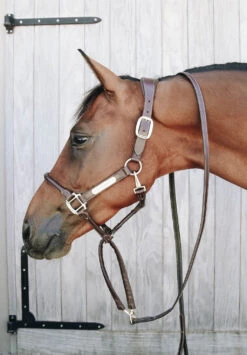 Kentucky Horsewear Leather Anatomic Halter