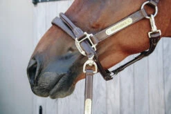 Kentucky Horsewear Leather Anatomic Halter -Equestrian Supplies Store 3681