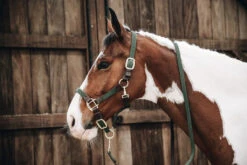 Kentucky Horsewear Plaited Nylon Halter Green