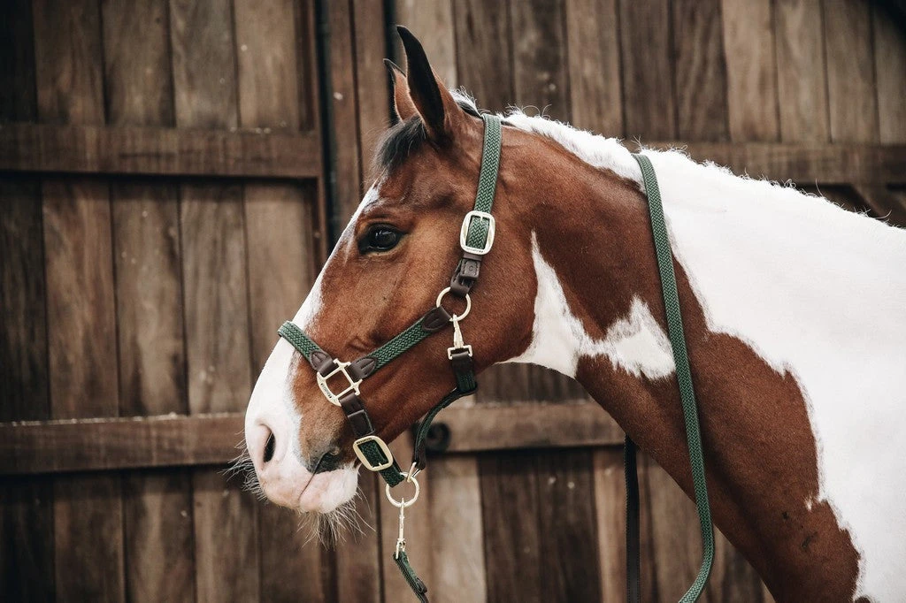 Kentucky Horsewear Plaited Nylon Halter Green 1 Kentucky Horsewear Plaited Nylon Halter Green