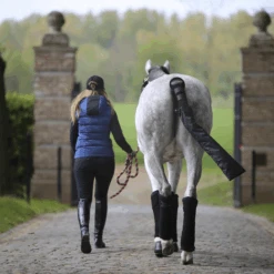 Equestrian Supplies Store 5 Equestrian Supplies Store -Equestrian Supplies Store 42103 4ba33629 ffd0 4218 a62d 9b2b27d0ed19