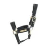 Kentucky Horsewear Halter Velvet Black