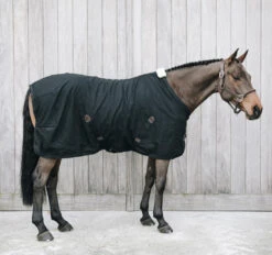 Kentucky Horsewear Cotton Sheet Black