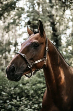 Kentucky Horsewear Leather Halter Flexible