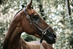 Kentucky Horsewear Leather Halter Flexible -Equestrian Supplies Store 4910