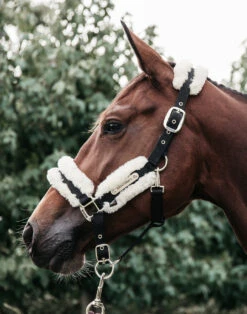 Kentucky Horsewear Nylon Halter Wool