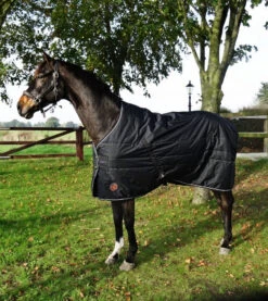 ONE Equestrian Stable Rug 200 Grams