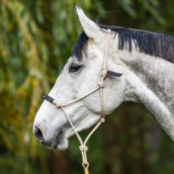 Dyon La Cense Collection Training Halter Black