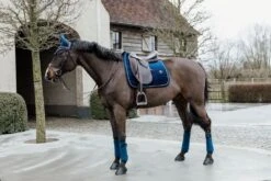 Kentucky Horsewear Saddle Pad Basic Velvet Dressage Blue -Equestrian Supplies Store 7940