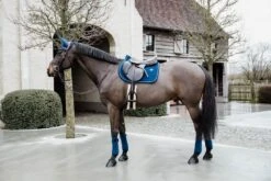 Kentucky Horsewear Saddle Pad Basic Velvet Jumping Navy 5 Kentucky Horsewear Saddle Pad Basic Velvet Jumping Navy -Equestrian Supplies Store 7959