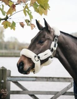 Kentucky Horsewear Kentucky Sheepskin Shipping Halter Beige