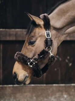 Kentucky Horsewear Kentucky Sheepskin Shipping Halter Brown