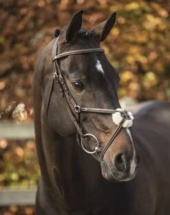 LJ Leathers New Pro Bridle Figure 8 Noseband