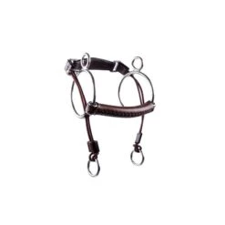 TRUST Equestrian Leather Curbgag