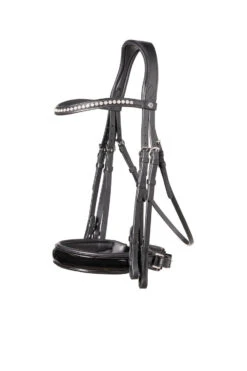 TRUST Aachen Double Bridle Patent Noseband Black Padded Black