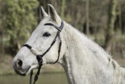 Dyon La Cense Collection Bitless Bridle Black