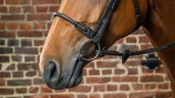 Dyon D Collection Leather Covered Rope Noseband Black