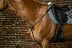 Dyon D Collection Breastplate With Elastic Black