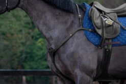 Dyon D Collection Breastplate With Long Bridge Black