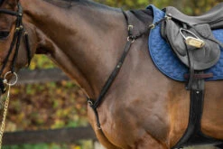 Dyon D Collection Breastplate With Bridge Black