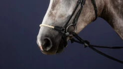 Dyon New English Collection Drop Rope Noseband Black