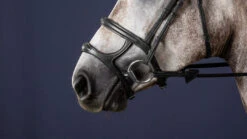 Dyon New English Collection Double Noseband Black