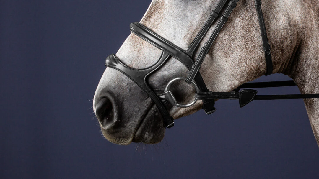 Dyon New English Collection Double Noseband Black 1 Dyon New English Collection Double Noseband Black