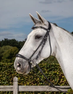 Dyon Dressage Drop Noseband Bridle Black
