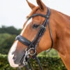 Dyon Dressage Large Crank Noseband Double Bridle Black
