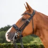 Dyon Dressage Patent Large Crank Noseband Double Bridle Black
