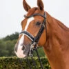 Dyon Dressage Patent Large Crank Noseband With White Padding Double Bridle Black